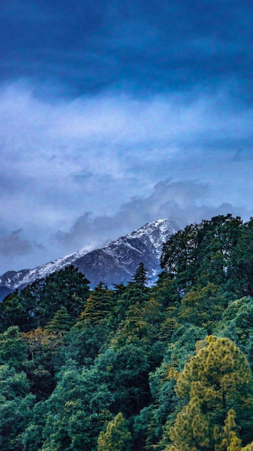 Jot Eco Boutique Stays Дармсала Екстер'єр фото